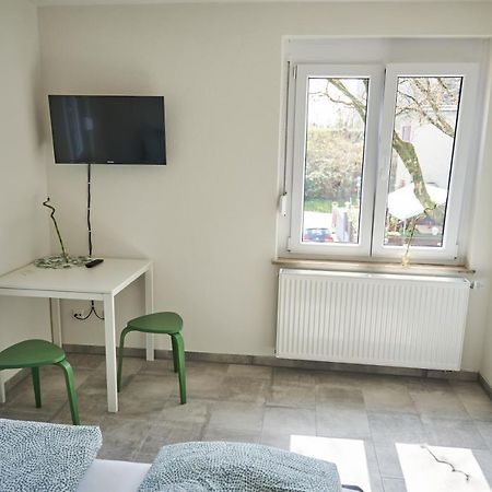 Greenhome Loerrach -Ihre Unterkunft Im 3-Laendereck- المظهر الخارجي الصورة