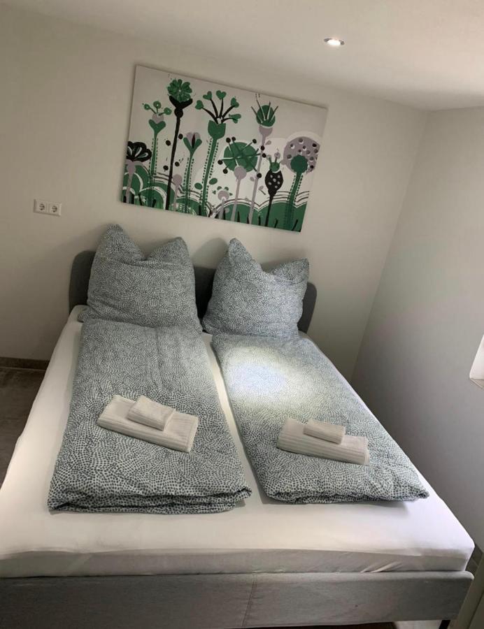 Greenhome Loerrach -Ihre Unterkunft Im 3-Laendereck- الغرفة الصورة
