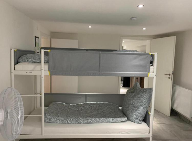 Greenhome Loerrach -Ihre Unterkunft Im 3-Laendereck- المظهر الخارجي الصورة
