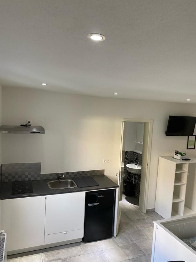Greenhome Loerrach -Ihre Unterkunft Im 3-Laendereck- المظهر الخارجي الصورة