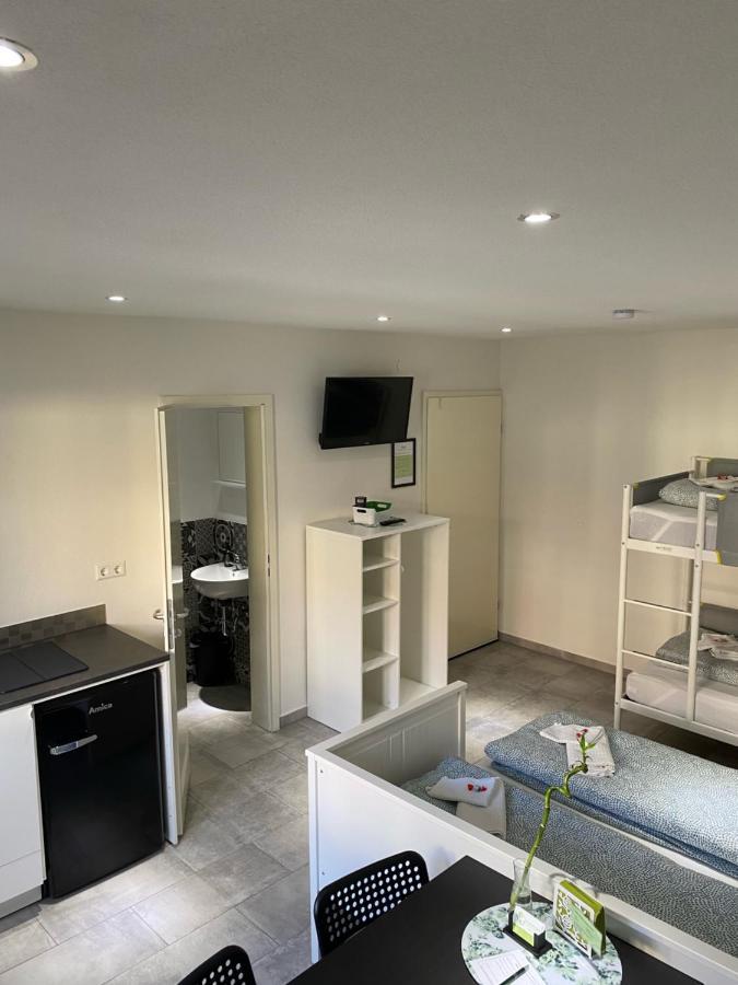 Greenhome Loerrach -Ihre Unterkunft Im 3-Laendereck- المظهر الخارجي الصورة